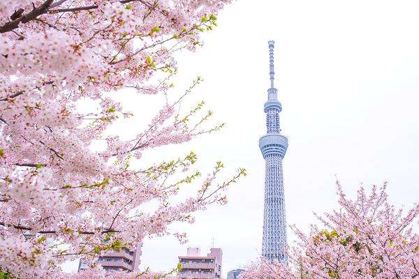 晴空塔