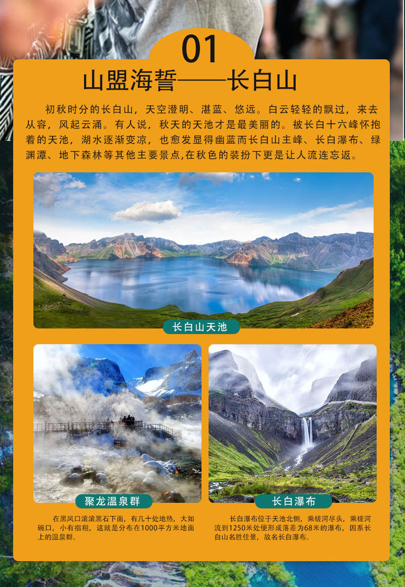 图片8 图片8