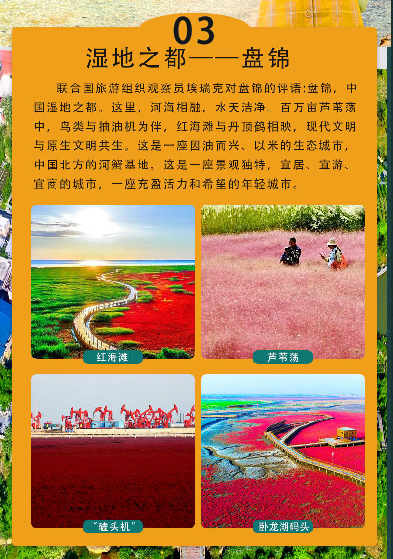 图片10 图片10